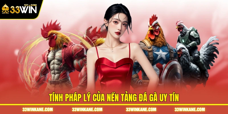 Tính pháp lý của nền tảng đá gà uy tín